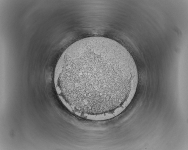 X0000110700032200907241134