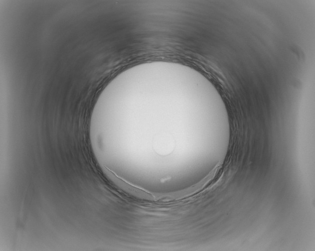 X0000110700033200907241134