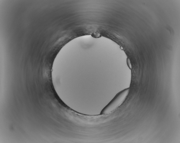 X0000110700035200907241134