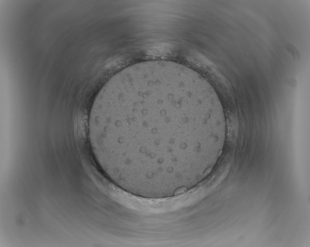 X0000110700038200907241134