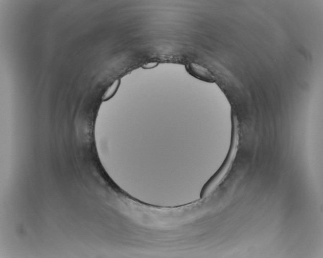 X0000110700039200907241134