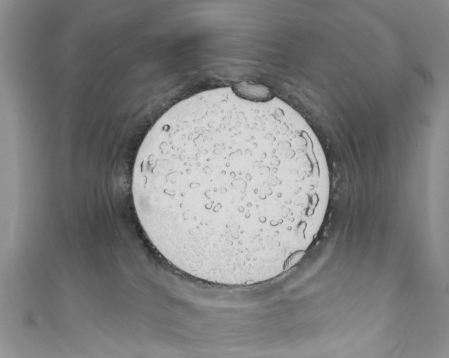 X0000110700040200907241134