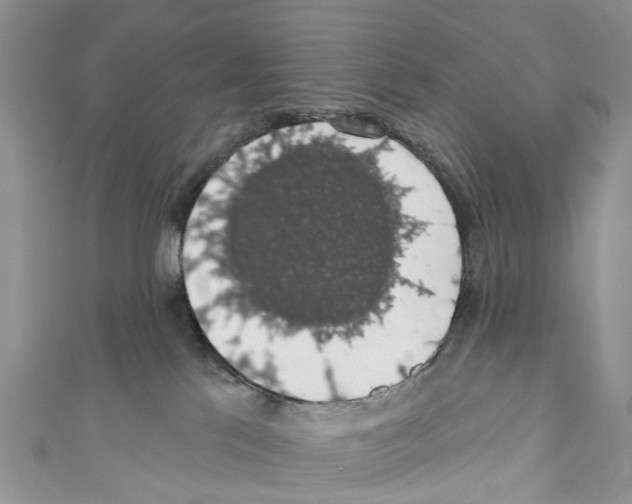 X0000110700041200907241134