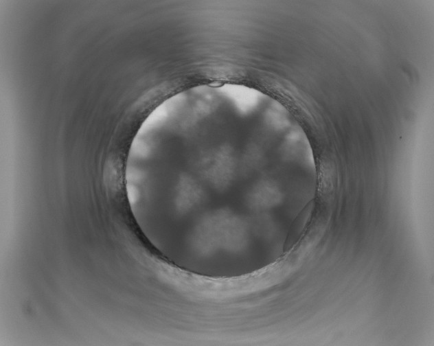 X0000110700043200907241134