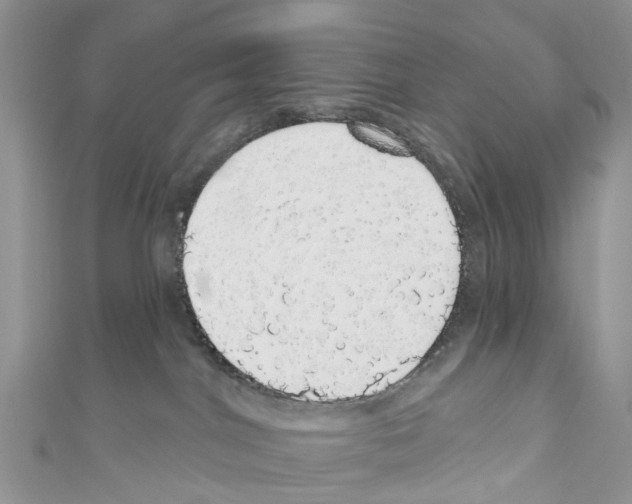 X0000110700044200907241134