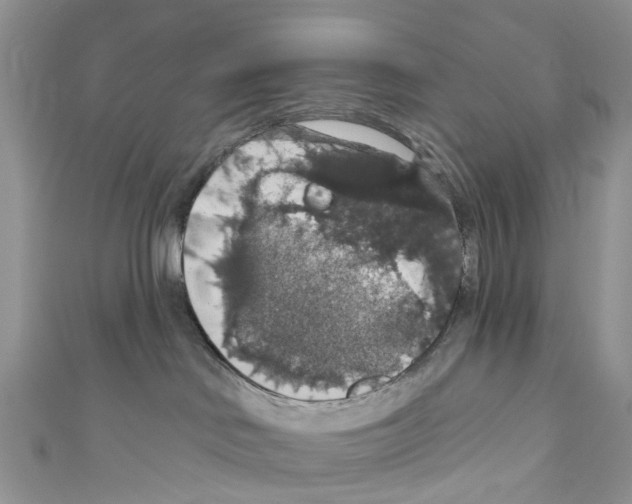 X0000110700046200907241134