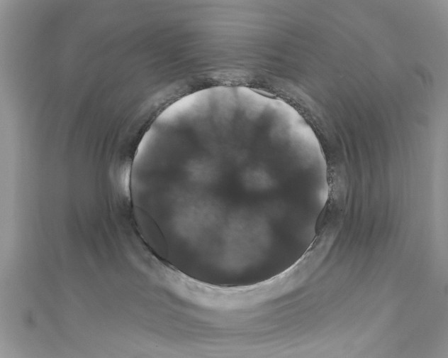 X0000110700047200907241134