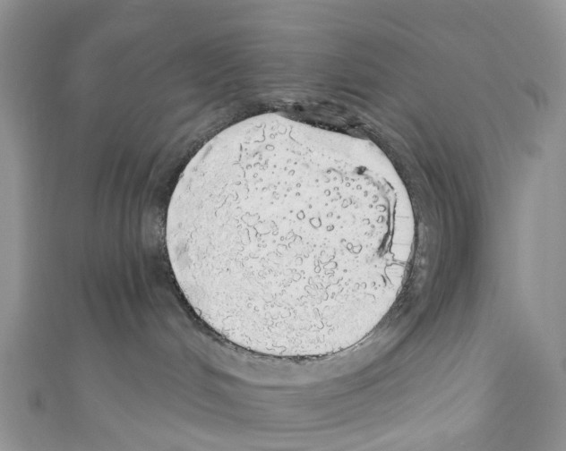 X0000110700048200907241134