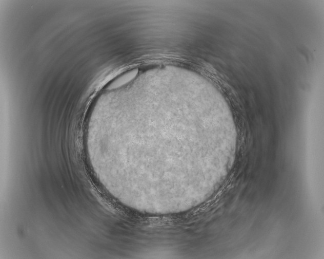 X0000110700050200907241133
