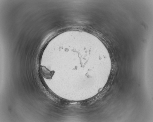 X0000110700053200907241133