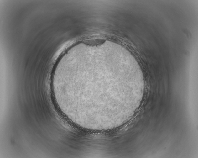 X0000110700054200907241133