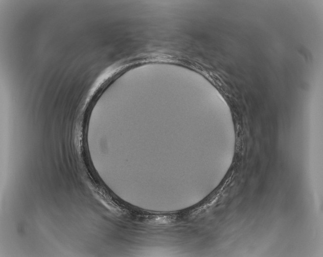X0000110700056200907241133