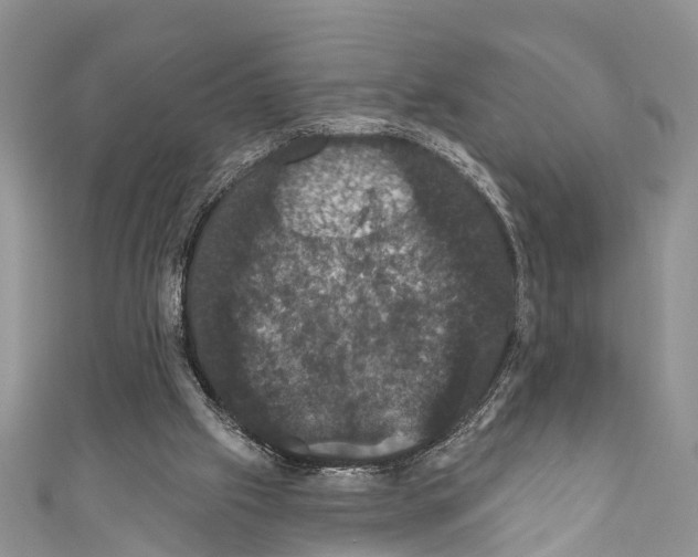 X0000110700057200907241133