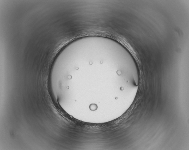 X0000110700058200907241133
