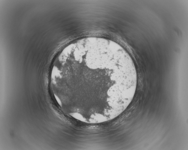 X0000110700059200907241133