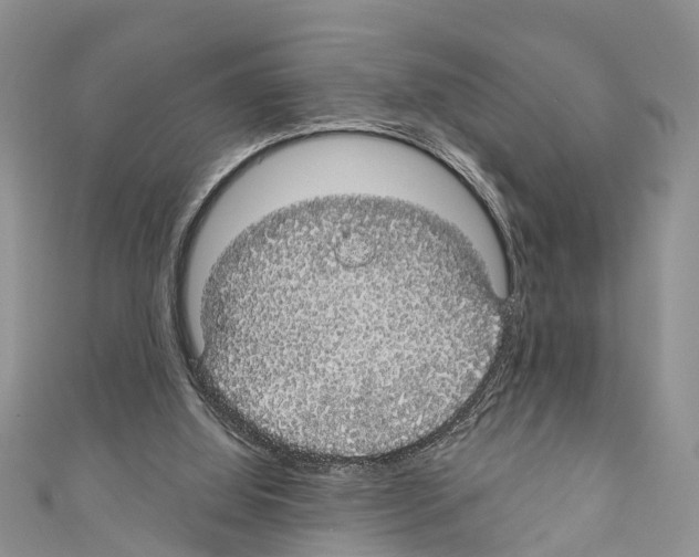 X0000110700060200907241133