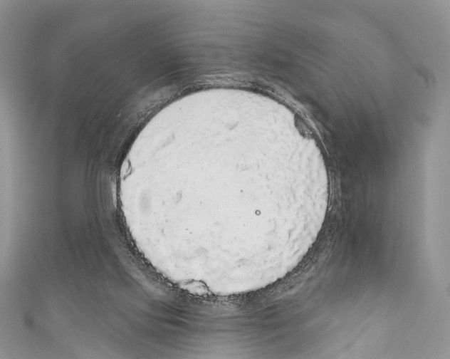 X0000110700061200907241133