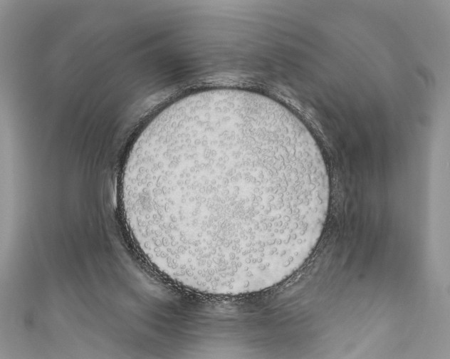 X0000110700062200907241133