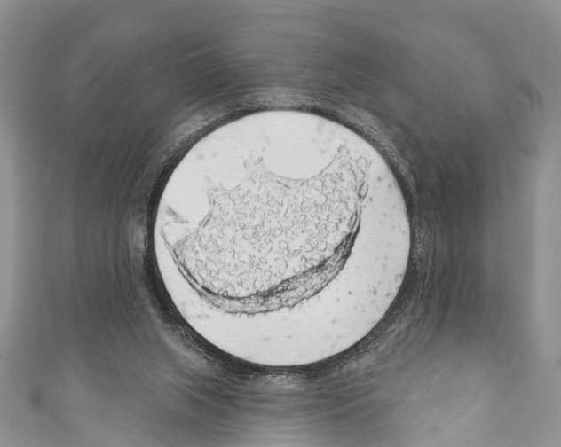 X0000110700063200907241133