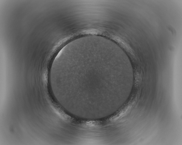 X0000110700064200907241133