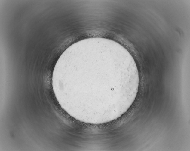 X0000110700065200907241133