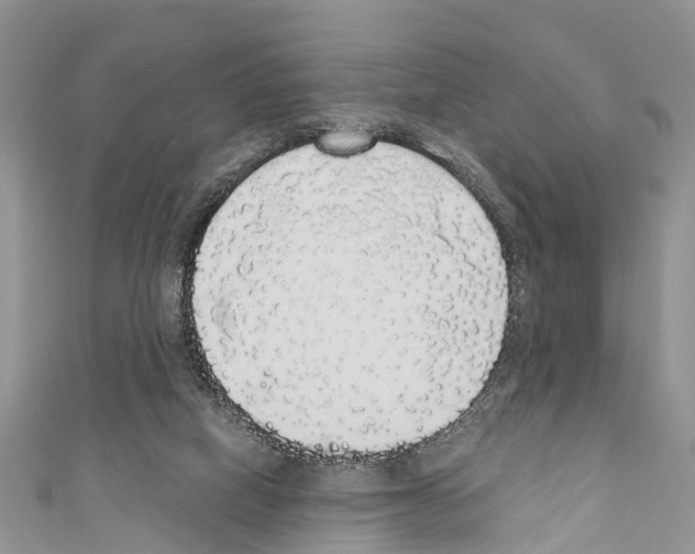 X0000110700066200907241133