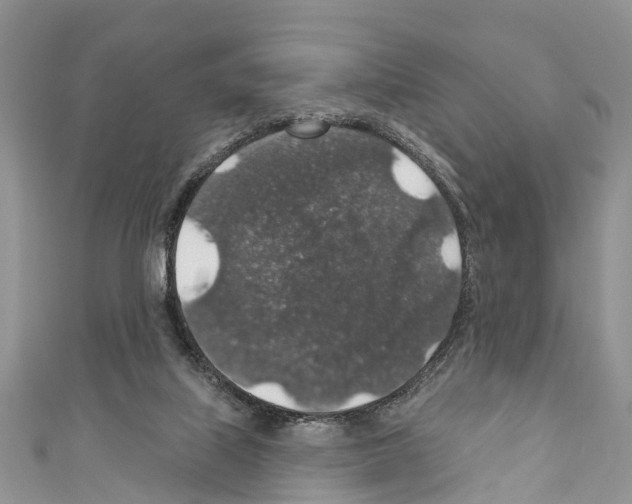 X0000110700067200907241133
