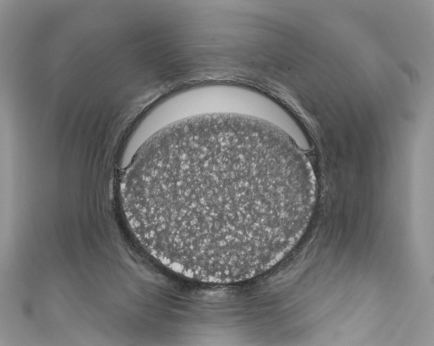 X0000110700068200907241133