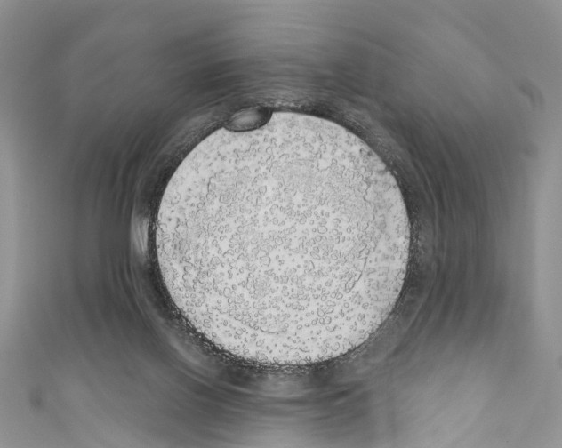 X0000110700070200907241133