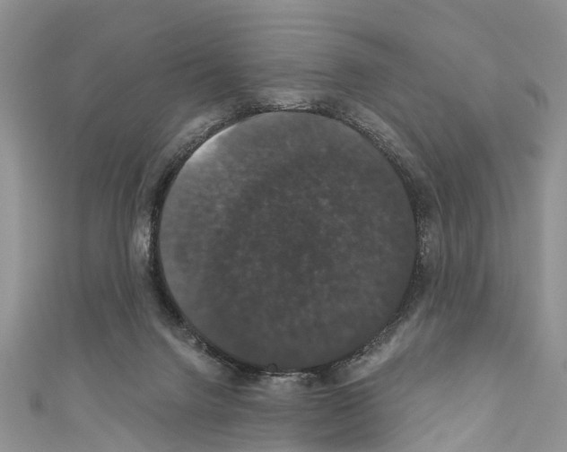 X0000110700072200907241133