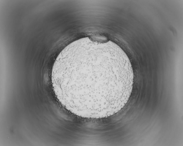 X0000110700074200907241133