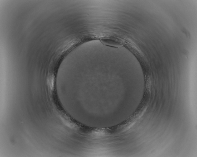 X0000110700076200907241133
