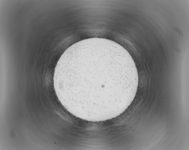 X0000110700077200907241133