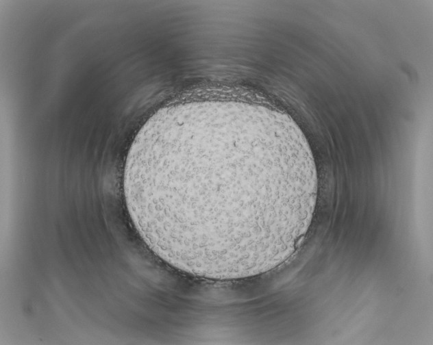 X0000110700078200907241133