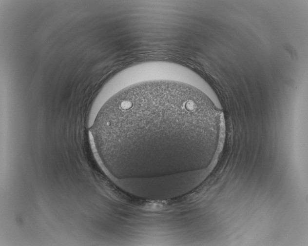 X0000110700080200907241133
