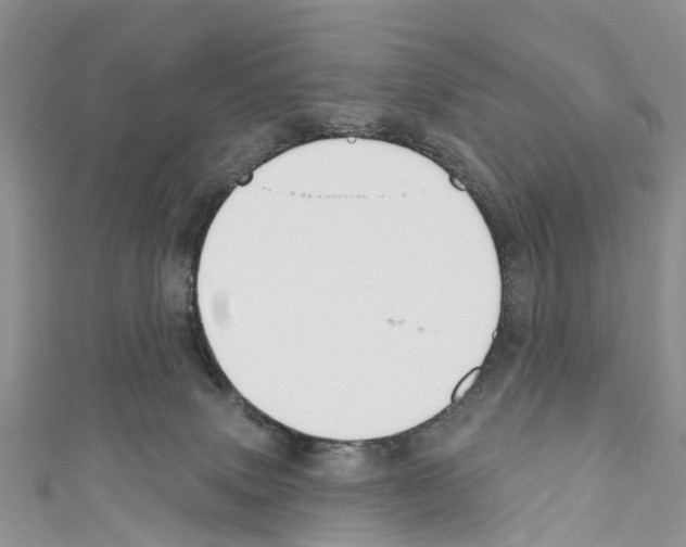 X0000110700083200907241133