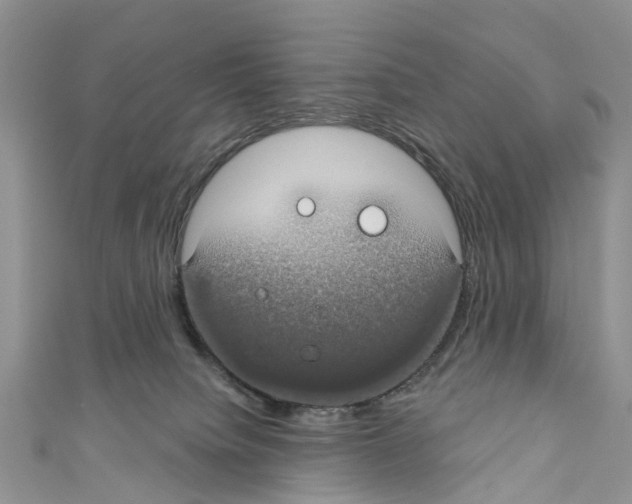 X0000110700084200907241133