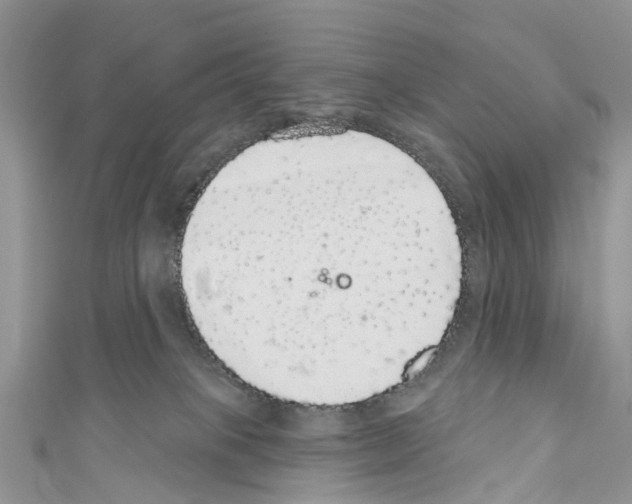 X0000110700085200907241133