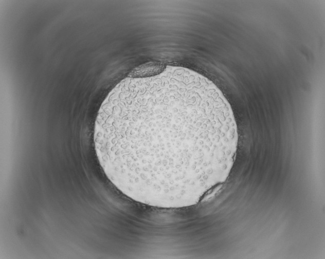 X0000110700086200907241133