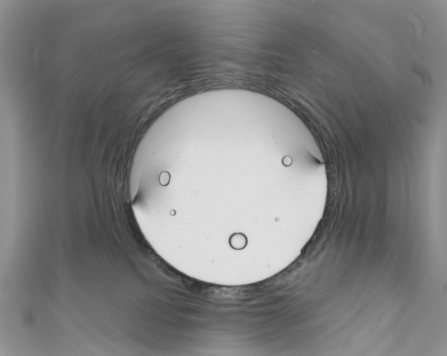 X0000110700088200907241133