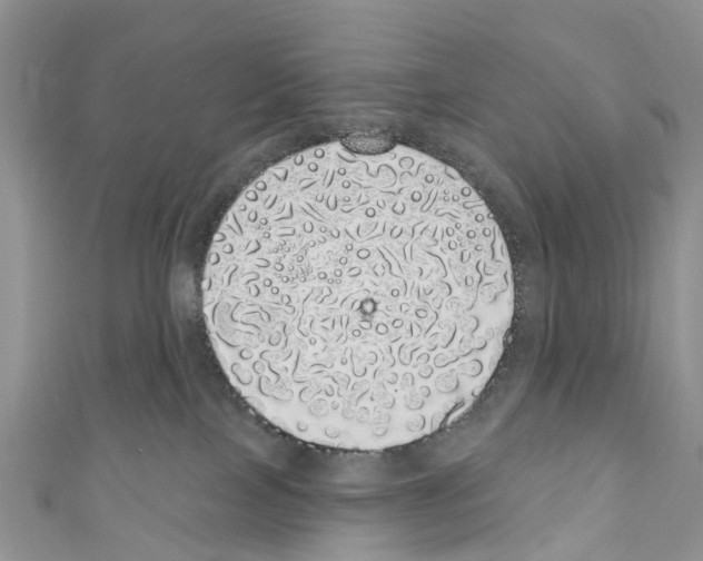 X0000110700089200907241134