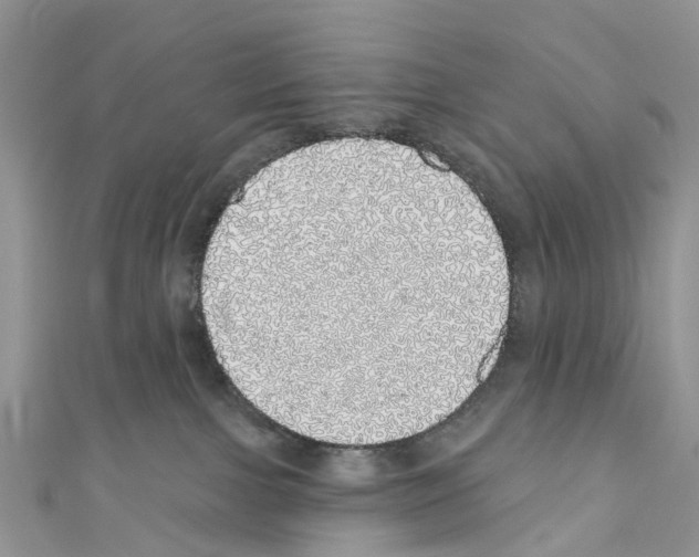 X0000110700091200907241134