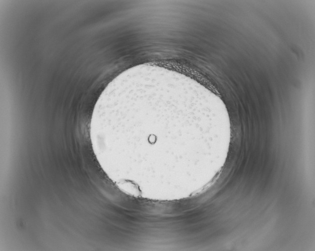 X0000110700094200907241134