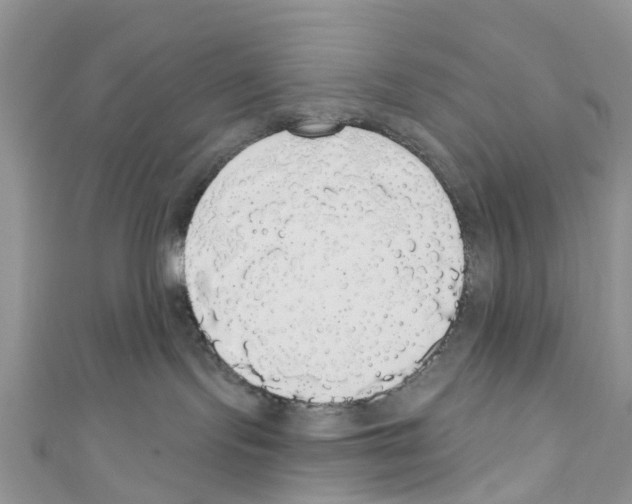 X0000110700095200907241134