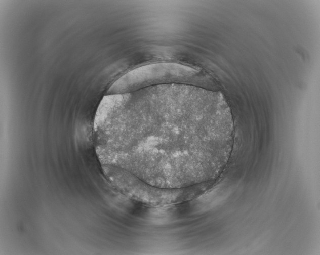 X0000110700096200907241134