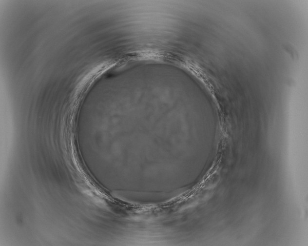 X0000110700097200907241133