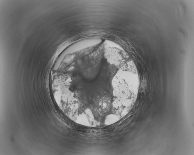 X0000110700099200907241133
