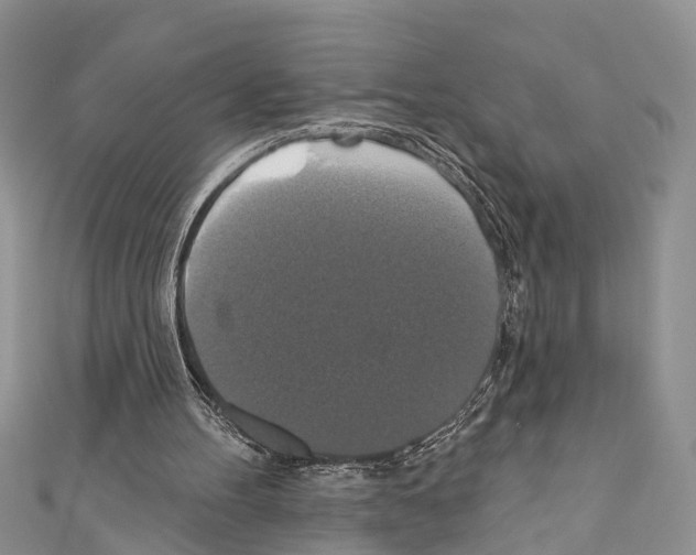 X0000110700100200907241133