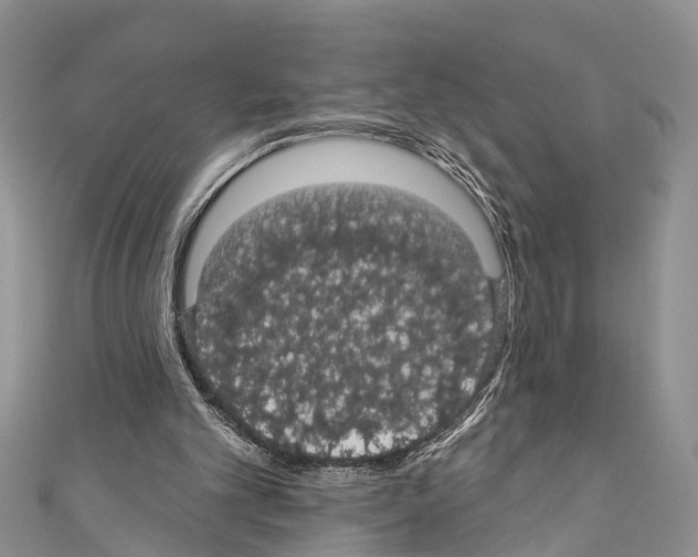 X0000110700101200907241133
