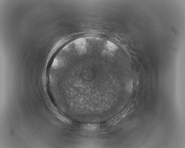 X0000110700102200907241133